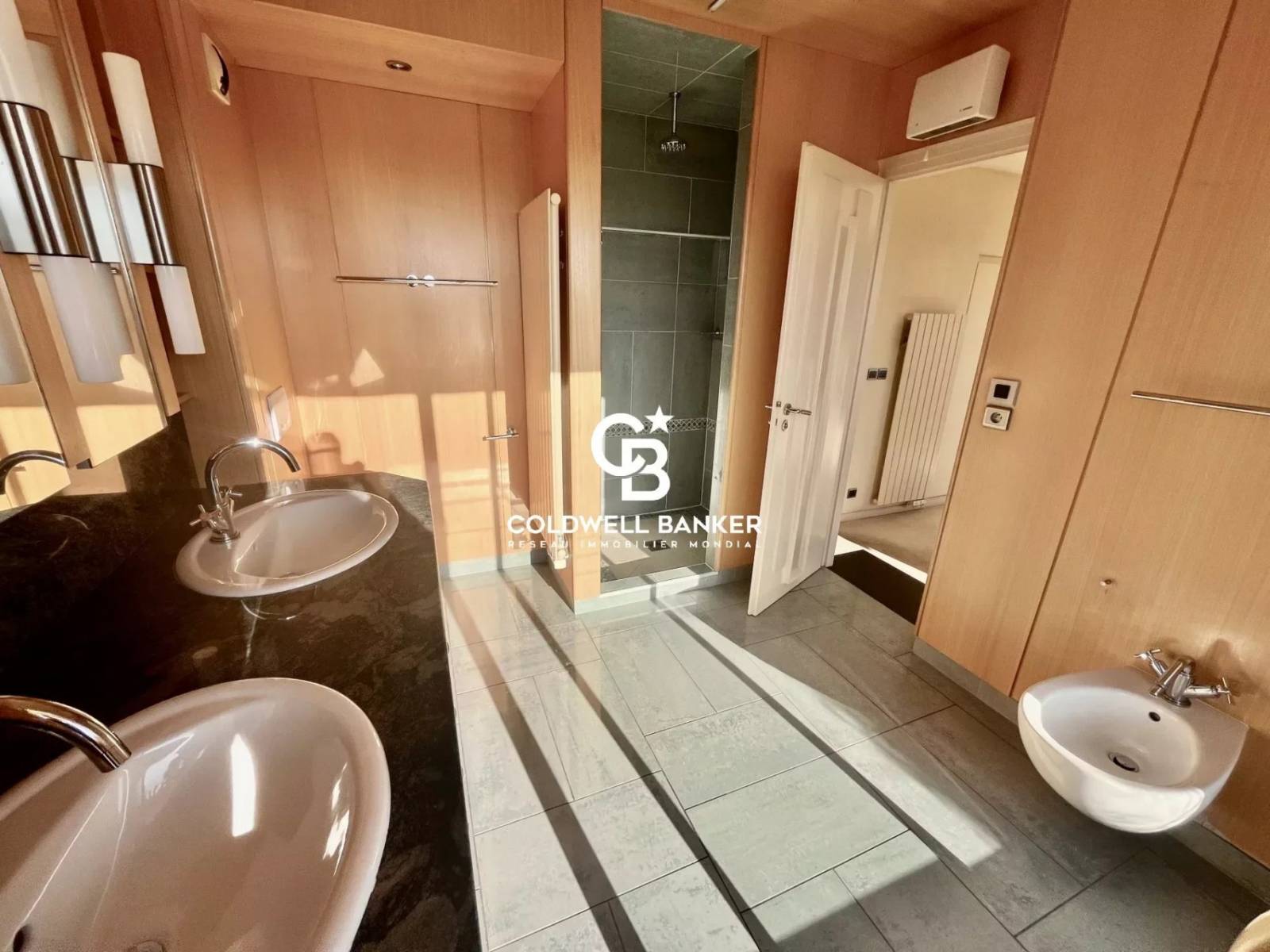 Appartement 4 pièces Vue Mont Blanc - Annemasse 74100