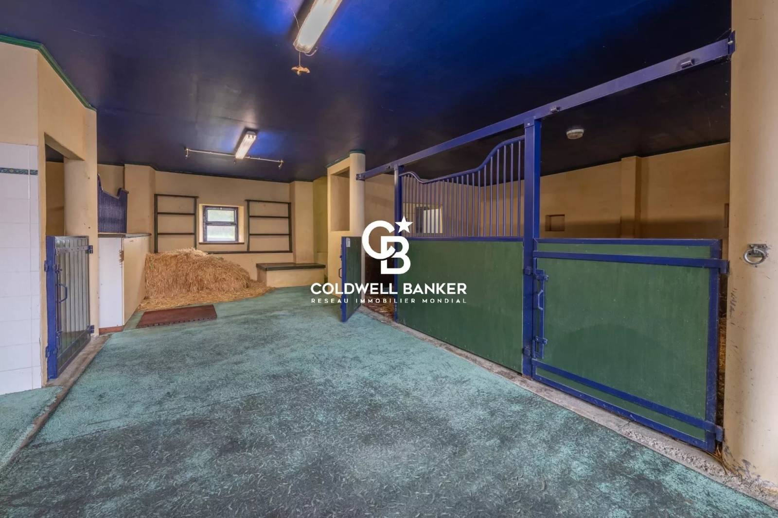 Acheter magnifique domaine d'élevage de chevaux avec une propriété  - Évires 74570