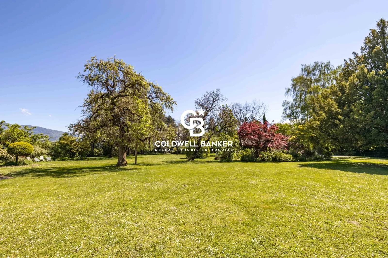 Domaine de prestige avec parc arboré et vue montagnes – Propriété à vendre entre Genève, Annecy et Chamonix