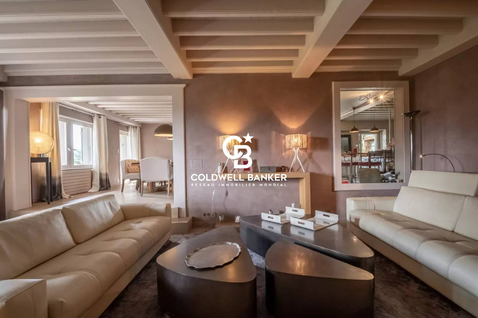 Magnifique propriété vue sur les Aravis - Arbusigny