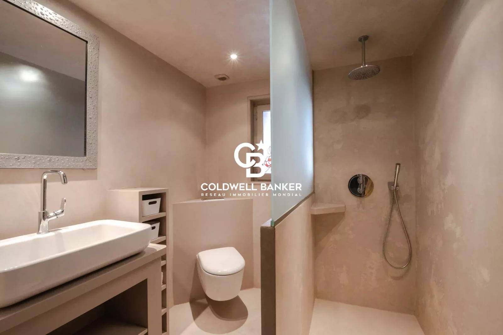 Magnifique propriété vue sur les Aravis - Arbusigny