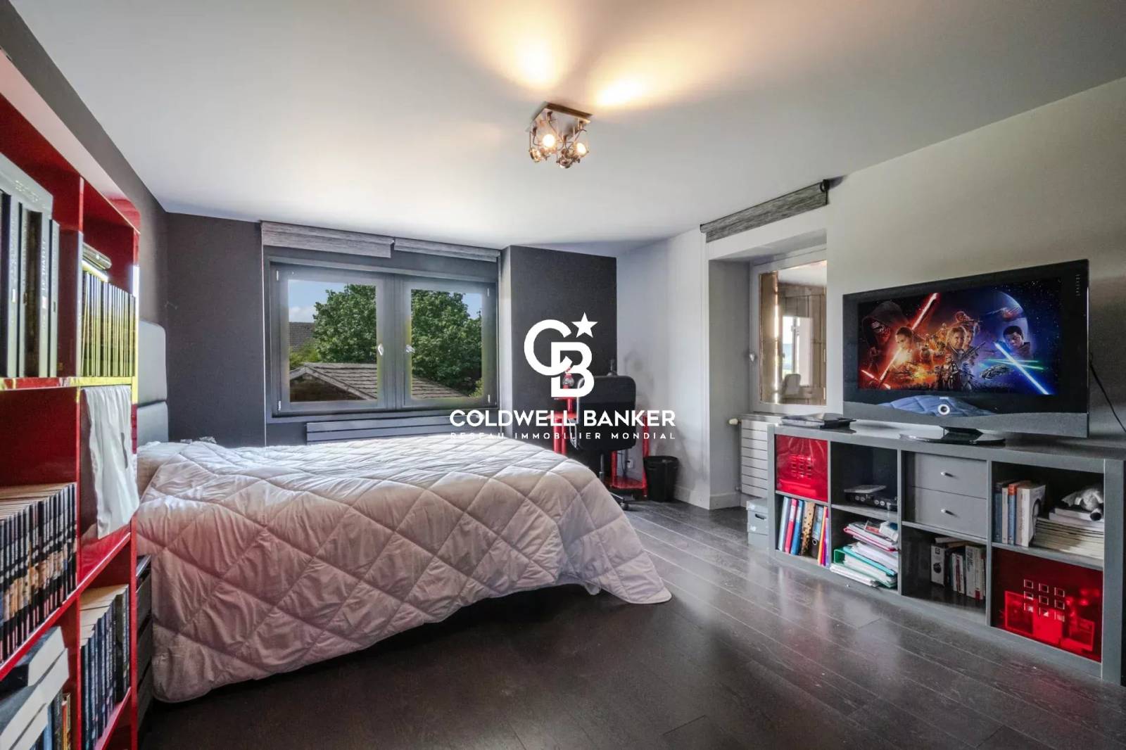 Magnifique propriété vue sur les Aravis - Arbusigny