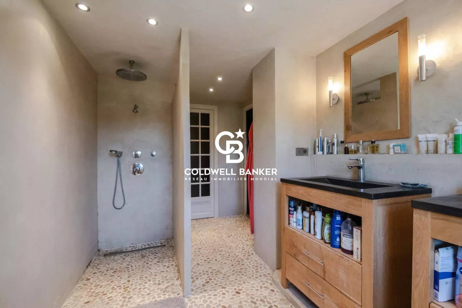 Magnifique propriété vue sur les Aravis - Arbusigny