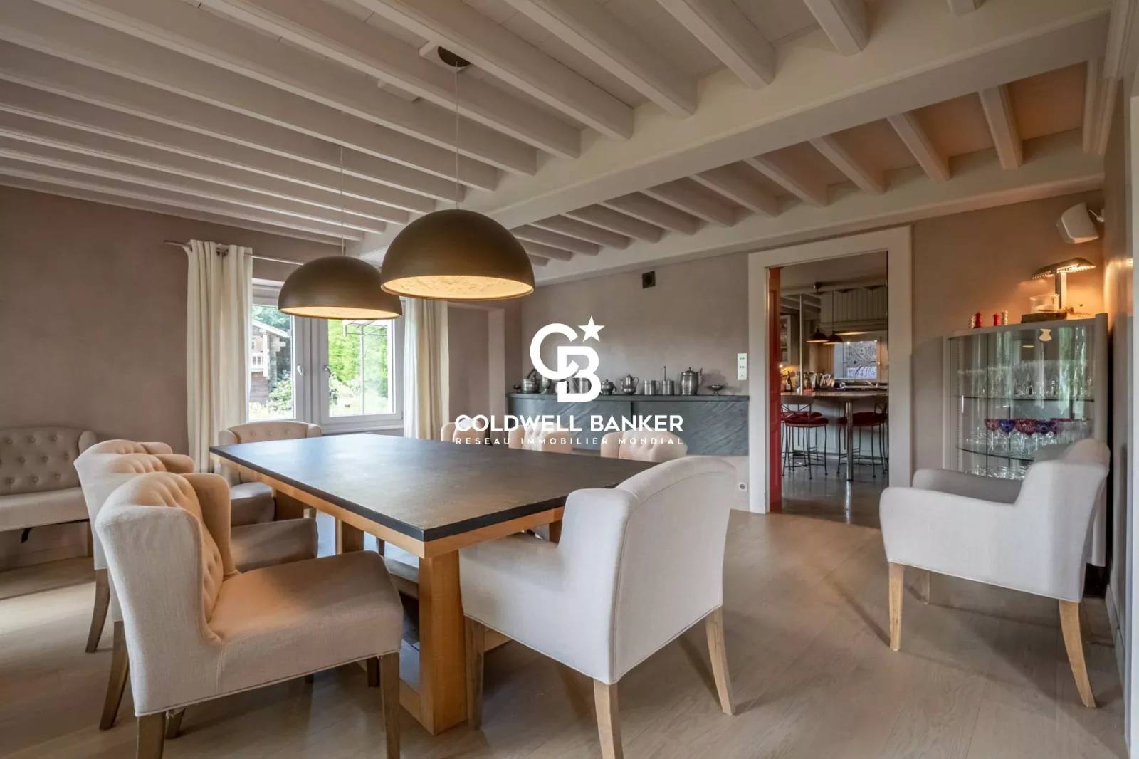 Magnifique propriété vue sur les Aravis - Arbusigny