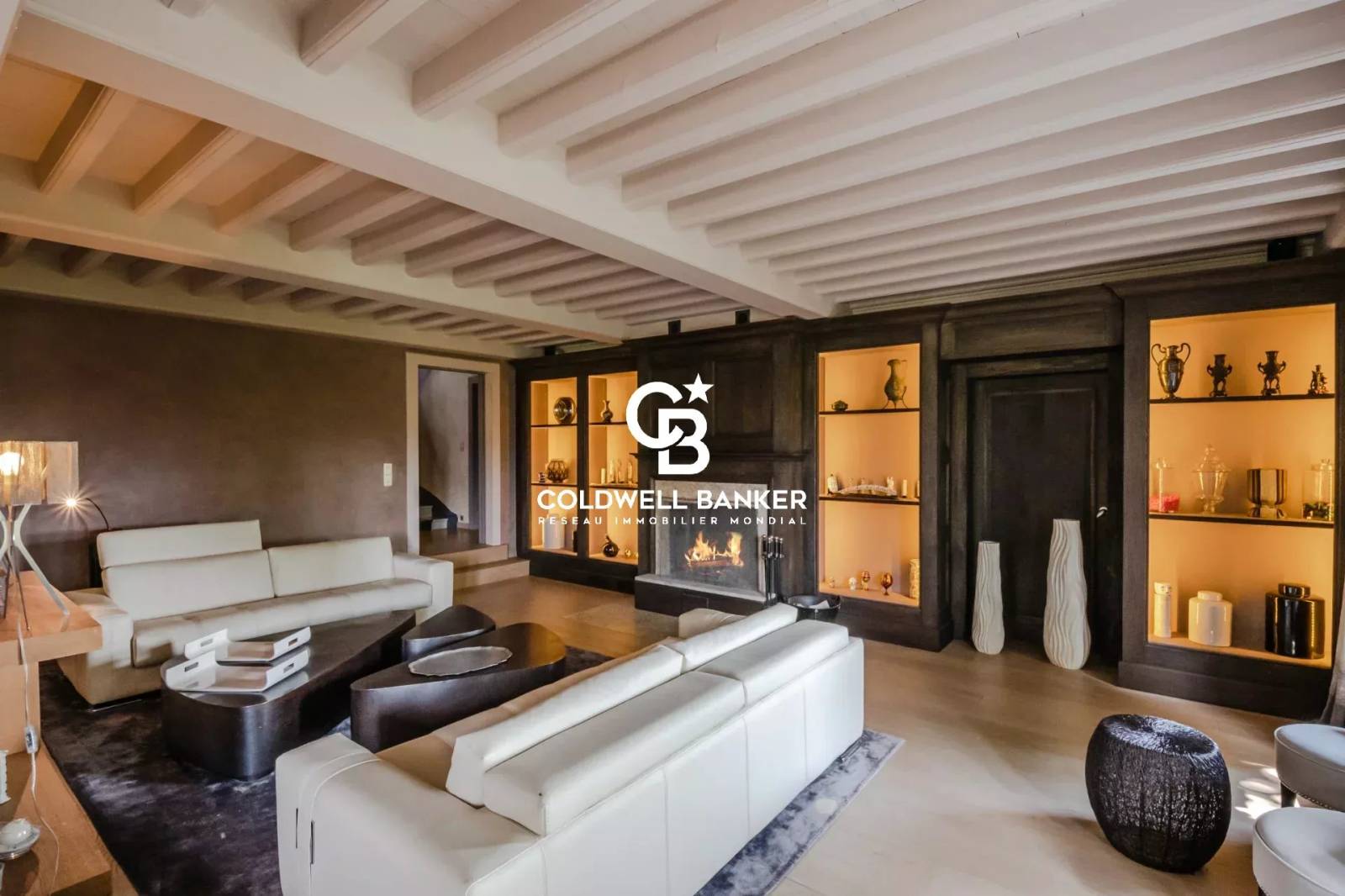 Magnifique propriété vue sur les Aravis - Arbusigny