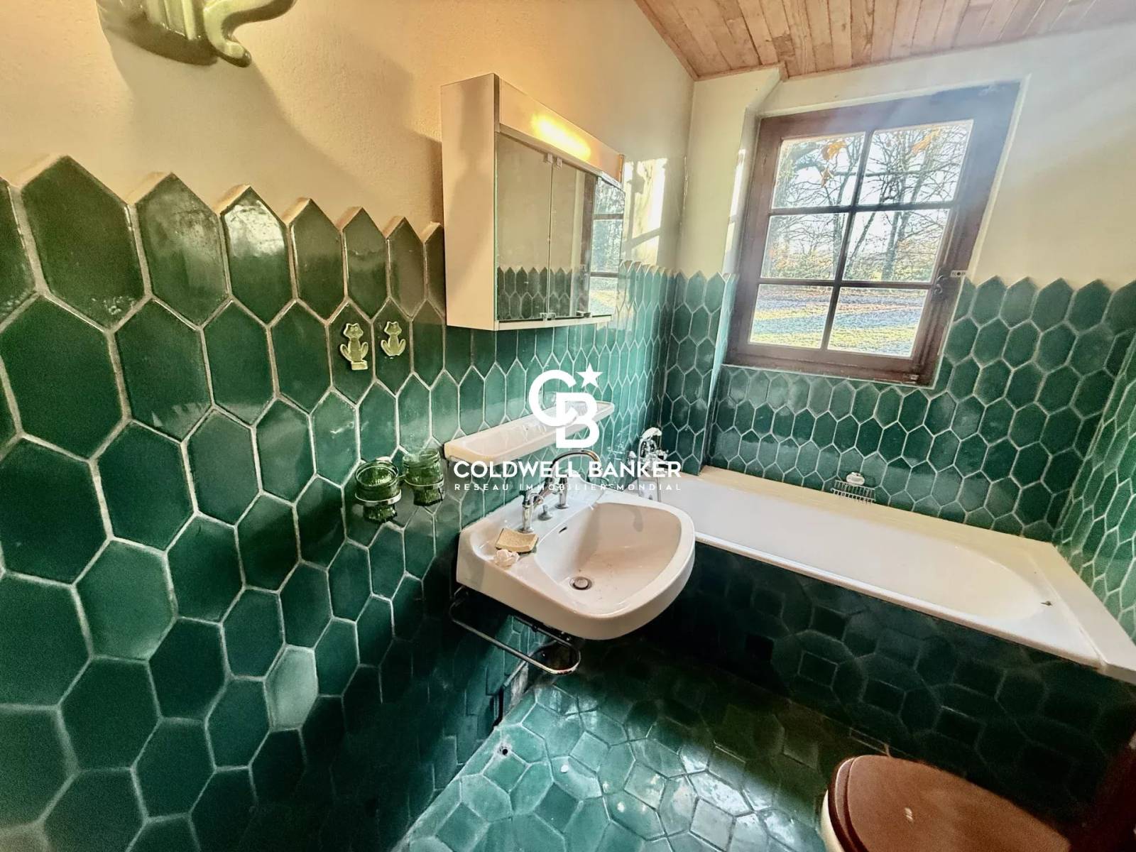 Chalet à vendre sur 2 hectares à coté du lac Léman - Yvoire 74140