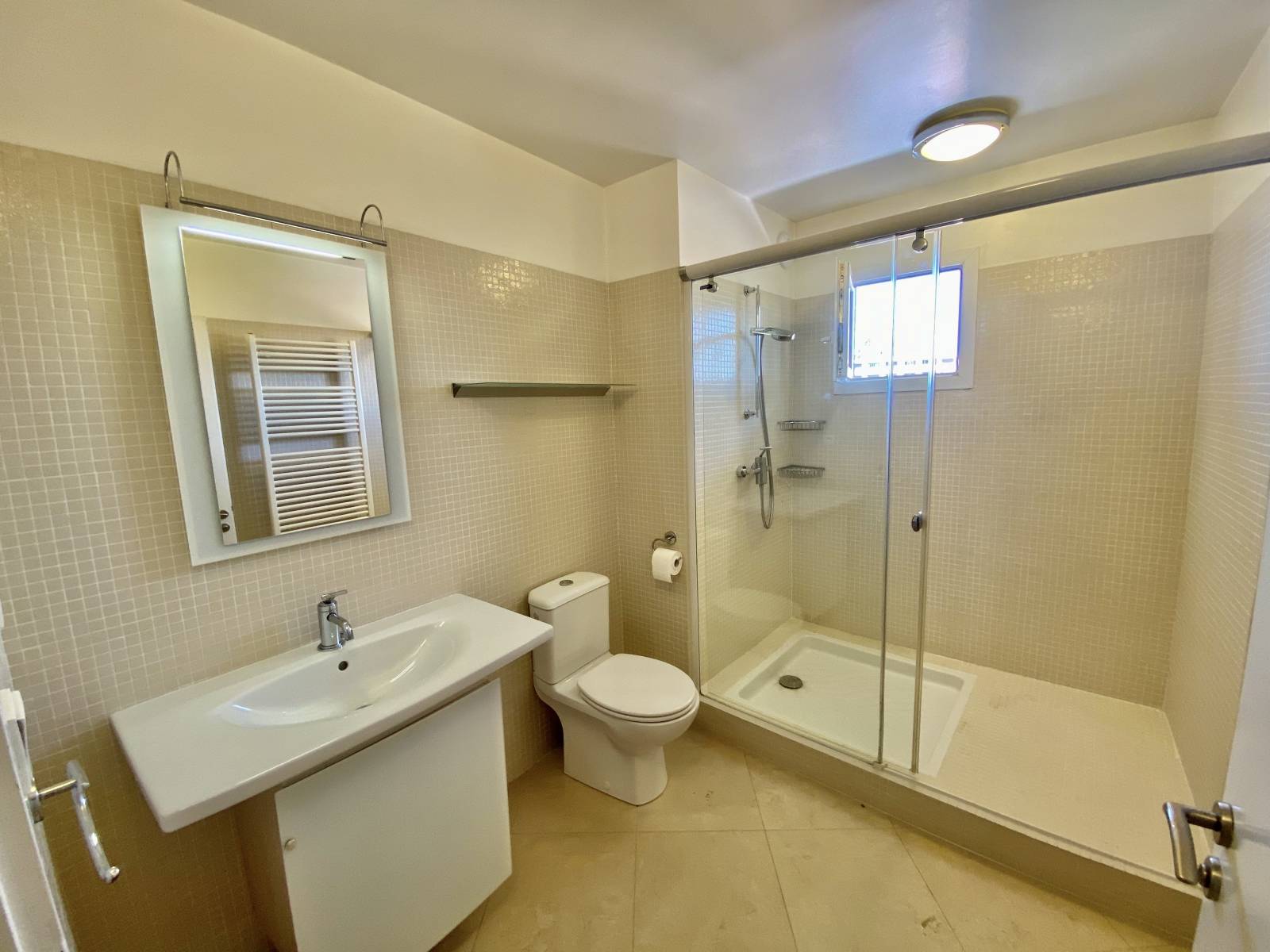 À Louer Attique avec vue au calme - Annemasse 74100