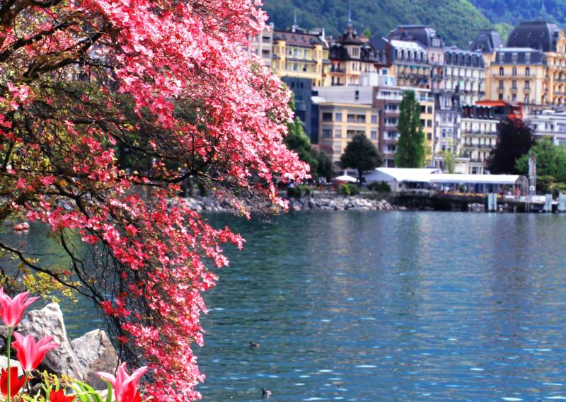 Où habiter en France quand on travaille à Genève en Suisse ? Les meilleures villes frontalières